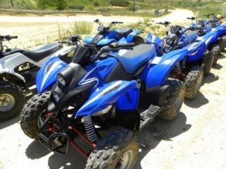  All -Terrain Quad